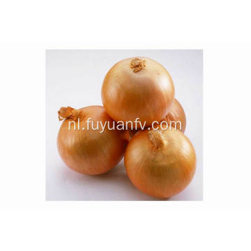 Professional Export Fresh Yellow Onion